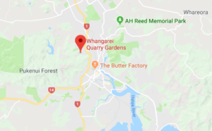 5 Cheap & Free Things To Do In Whangarei