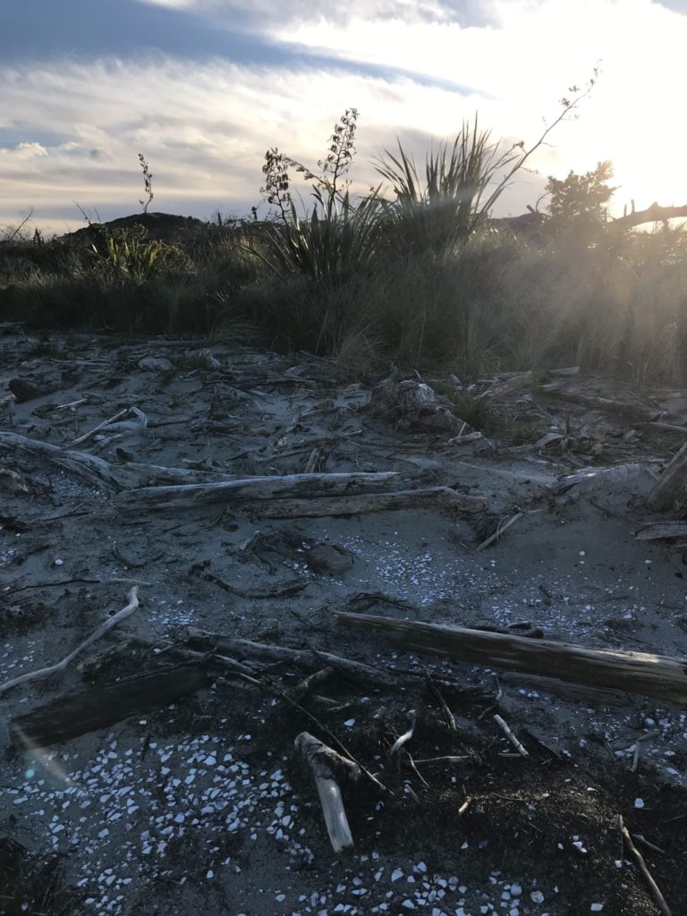 farewell spit inner beach