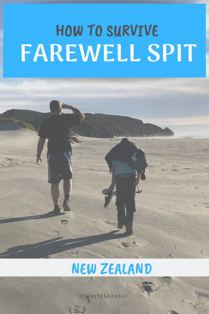 farewell spit pin