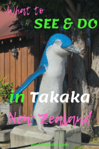 Best things to do in takaka