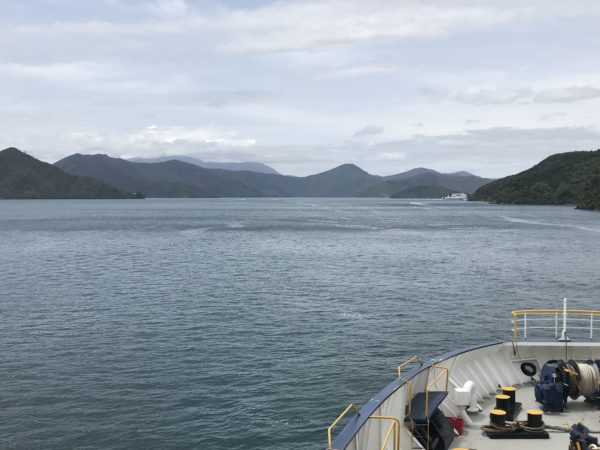 marlborough sounds