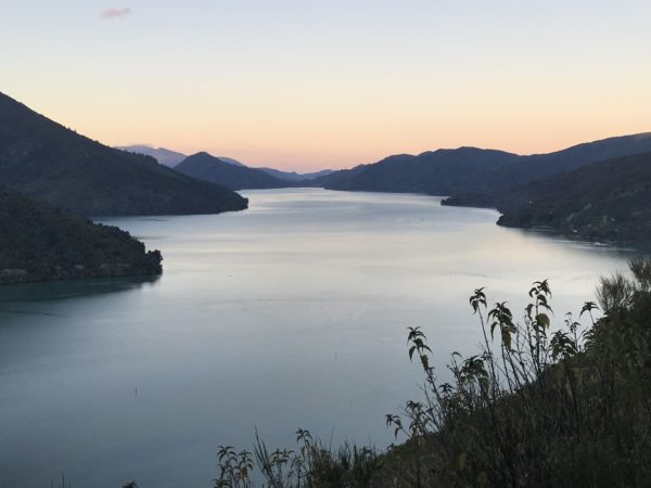 marlborough sounds