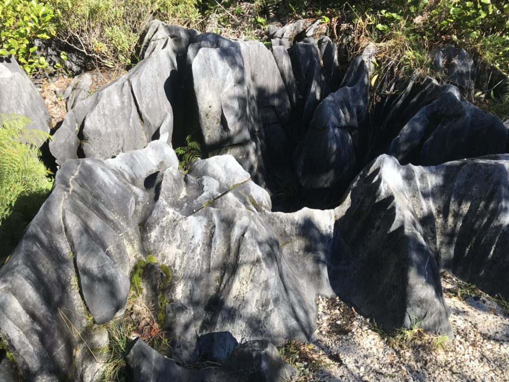 karst rock features at marble hill