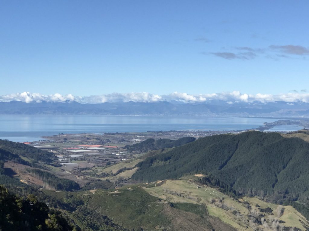 riwaka valley from hawkes lookouty