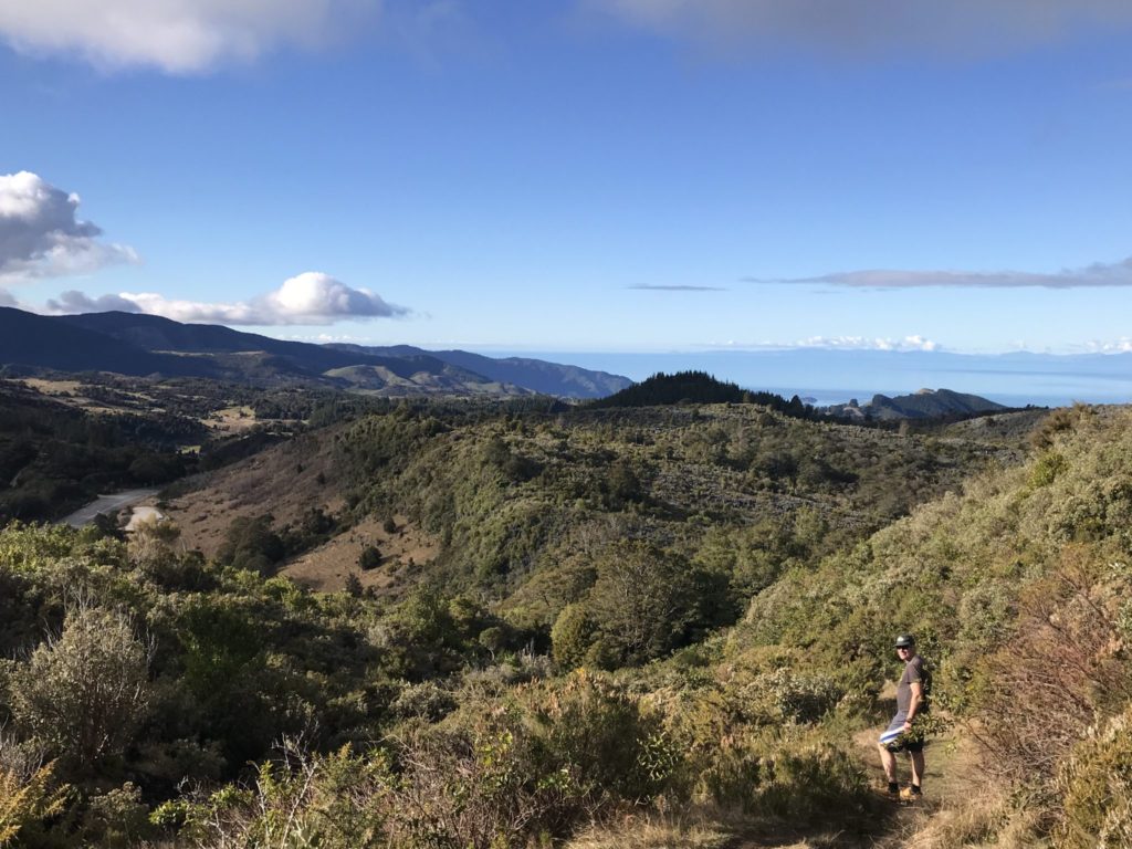 takaka hill walk