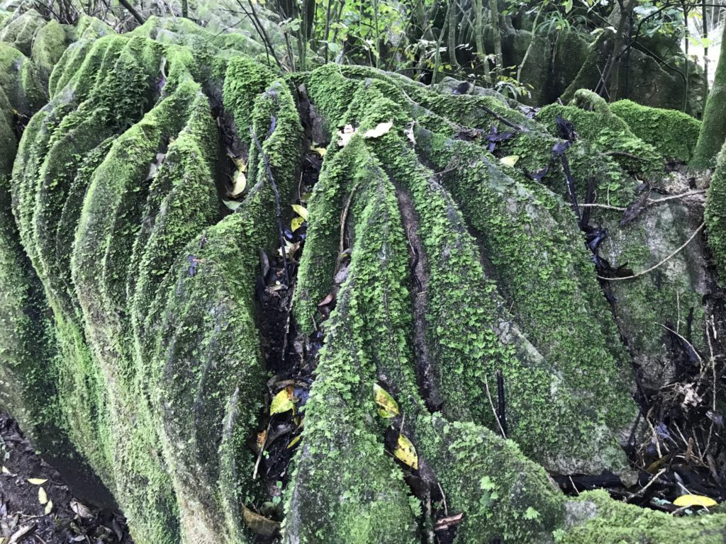 labyrinth rocks