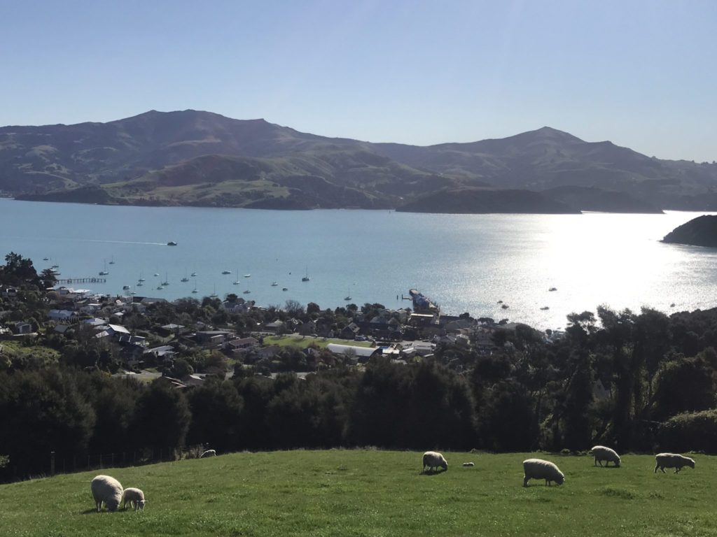 akaroa