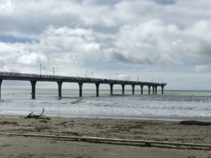 new brighton beach