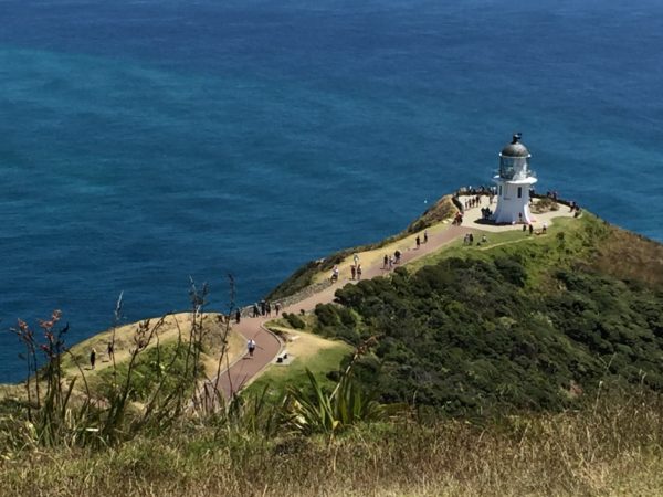 cape reinga