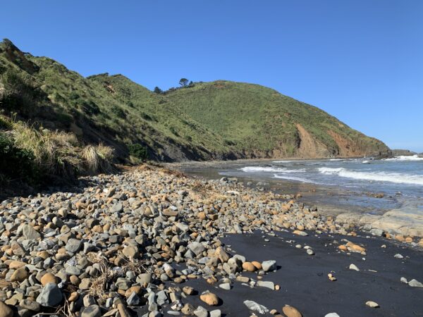 Sunset Beach, Port Waikato