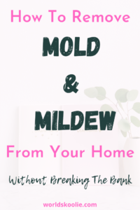 how to remove mold and mildew for less
