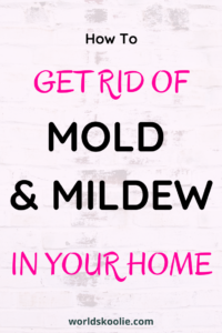 how to remove mold and mildew for less