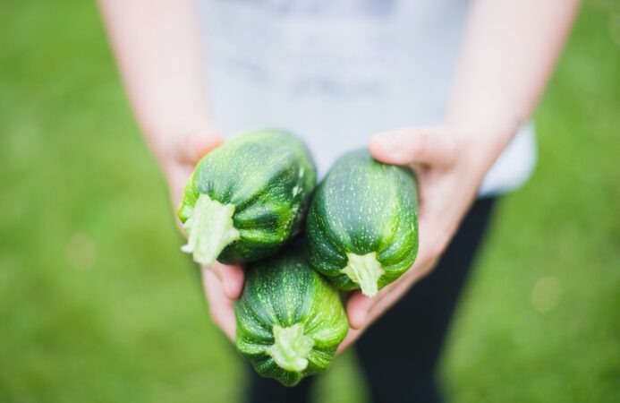 save money on necessities grow your own veggies