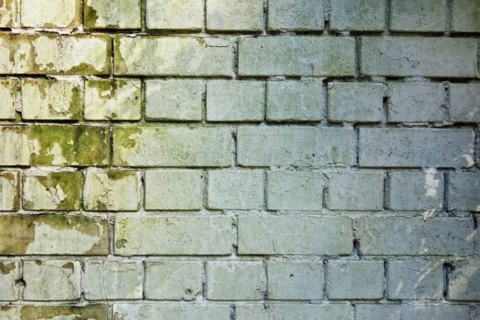 mold mildew on wall